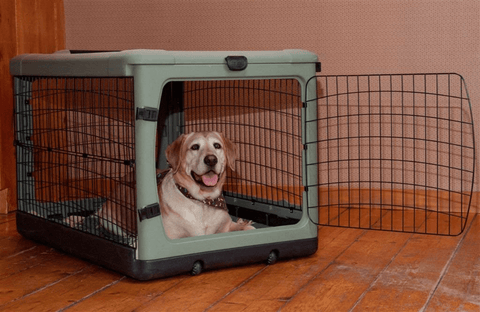 Image of Pet Gear Large 42" Steel Pet Crate with Bolster Pad