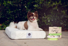 Petique Bamboo Orthopedic Memory Foam Pet Bed WITH HEMP COVER