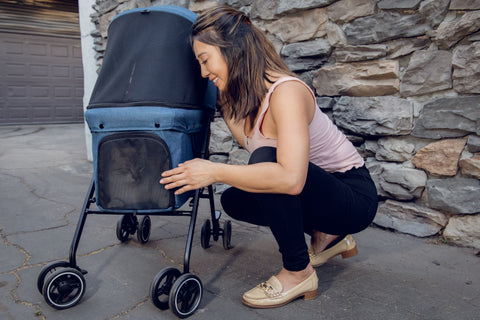 Image of Petique Malibu Pet Stroller