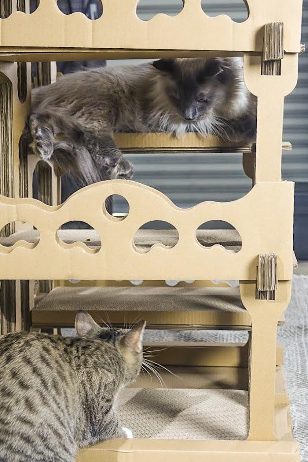 Petique Feline Chateau House Cat House