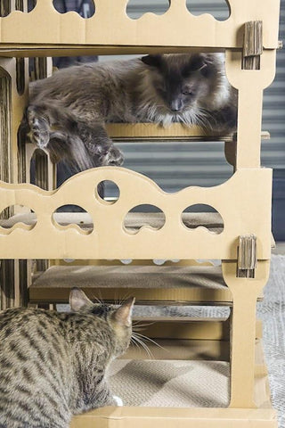 Image of Petique Feline Chateau House Cat House