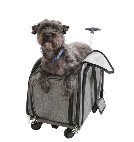 Image of Petique Happy Camper Pet Carrier