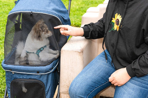 Image of Petique Malibu Pet Stroller
