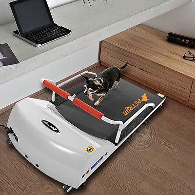 Dog treadmill for small dogs