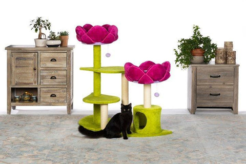 Image of Prevue Pet Kitty Power Paws Flower Garden