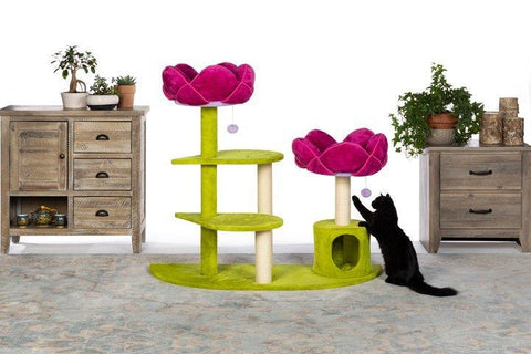 Image of Prevue Pet Kitty Power Paws Flower Garden