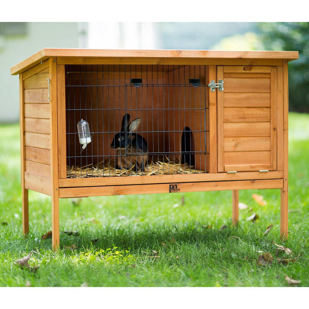 Overstock rabbit discount hutch