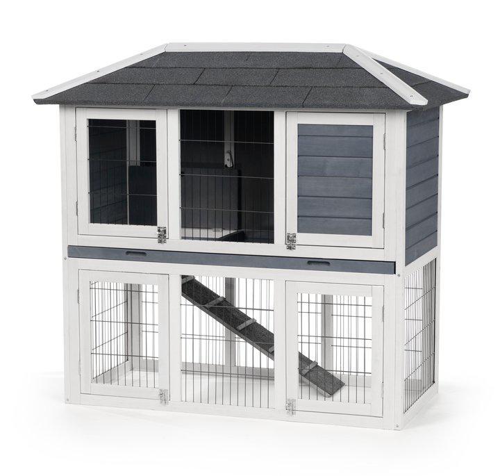 Rabbits, Chickens,mini rex, holland lop, dwarf Hotot, Mini Lop, Mini Satin, Netherland Dwarf, Polish, Loinhead, Jersey Wooly, Silkie, Cochin, Easter egger, Polish, Plymouth Rock, Brahma, Autstralorp, Rhode Island Red, Jersey Giant, Wyandotte, Duplex, Prevue Pet