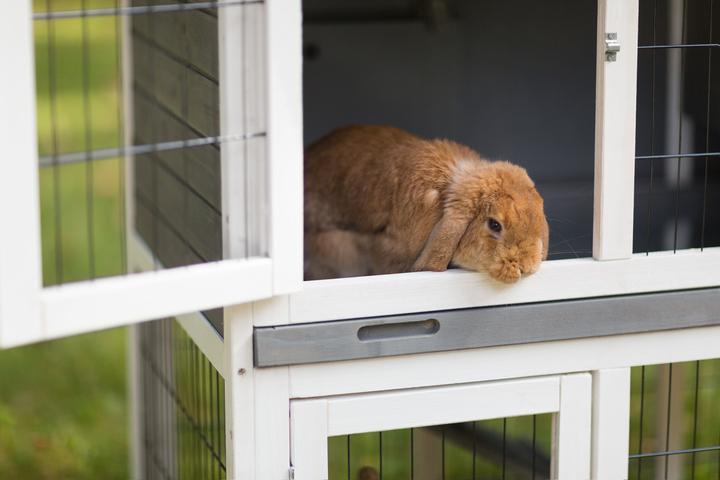 Prevue Pet Rabbit Hutch Duplex