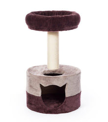 Prevue Pet Kitty Power Paws Kitty King