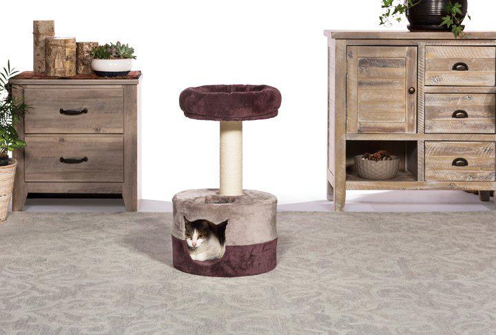 Prevue Pet Kitty Power Paws Kitty King