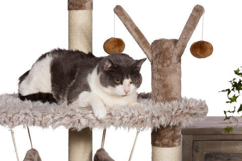 Image of Prevue Pet Kitty Power Paws Siberian Mountain