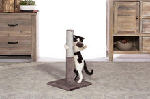 Prevue Pet Kitty Power Paws Play & Scratch