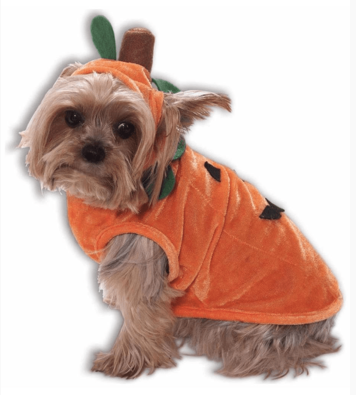 SimplyDog Furry Pumpkin Pet Costume
