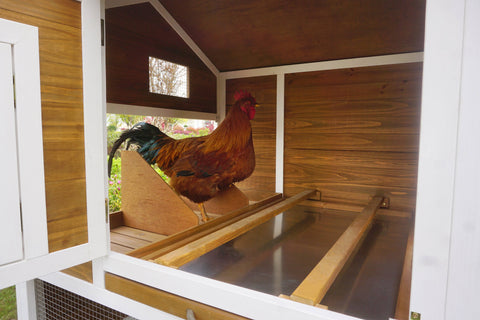 Image of Merry Pet Farmstead Chicken Coop