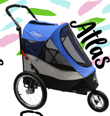 Image of Petique Blaze That Trail Pet Jogger Bundle