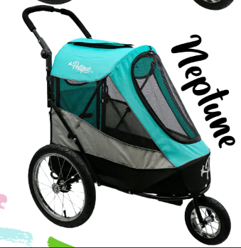 Image of Petique Blaze That Trail Pet Jogger Bundle