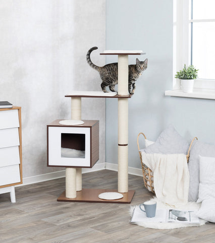 Image of Trixie Avoca Wooden Scratching Post Cat Tree Brown Cat Furniture, 48" H
