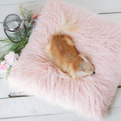 Image of Chic Himalayan Peach Faux Yak Fur Dog Bed Mat